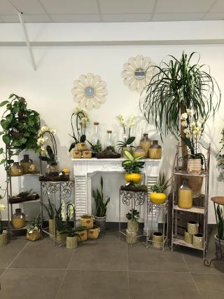 Fleuriste AUX ROSES - ANATO FLEURS 0