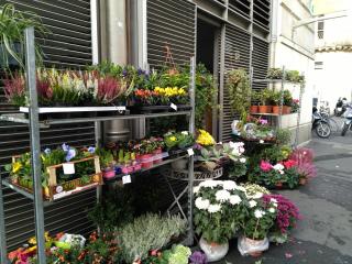 Fleuriste Aura Flor Hélène Jean, Fleuriste Montpellier 0
