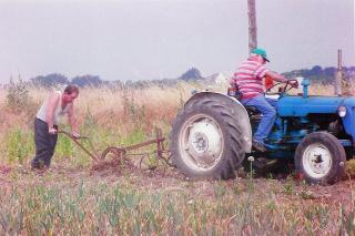 Fleuriste Le Petit Potager 0