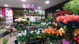 Fleuriste Le Jardin des Druides 0