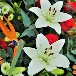 Fleuriste Kiosque à Fleurs - Fleuriste 0