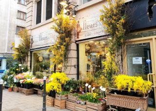 Fleuriste Fleurs de Pays - Fleuriste à Strasbourg 0