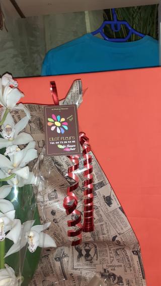 Fleuriste L'Îlot Fleurs 0