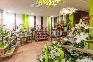 Fleuriste L'Îlot Fleurs 0