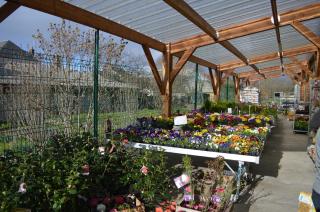 Fleuriste Fleuristerie Graineterie DENORMANDIE 1