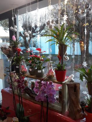 Fleuriste Sophie Fleurs Sarl 0