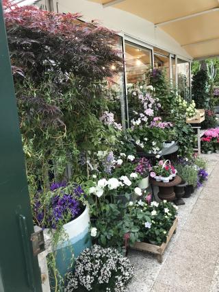 Fleuriste La Vie en Rose 0