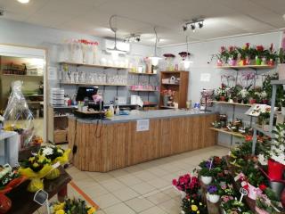 Fleuriste Le jardin de Lily 0