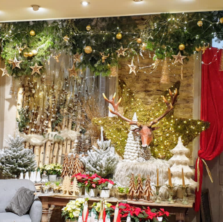 Fleuriste Aquarelle Fleuriste Rennes 0