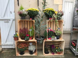 Fleuriste Les Serres de l'Enclos Lagarde 0