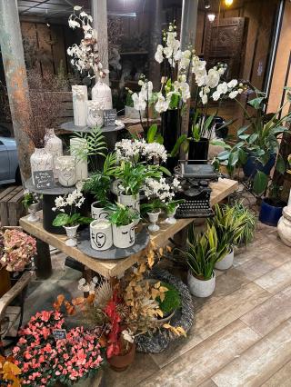 Fleuriste Reflets Fleurs 0