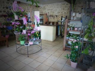 Fleuriste Jardin de Fei 1