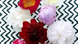 Fleuriste Monceau Fleurs 1