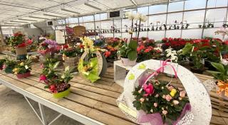 Fleuriste Gionnet Fleurs 1