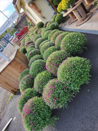 Fleuriste SENTEUR DES BLES 0