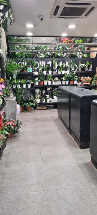 Fleuriste HAPPY Levallois Perret - VOLTAIRE 2