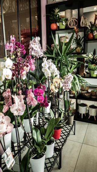 Fleuriste A fleur de toi 0