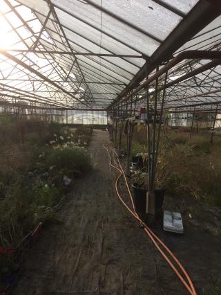 Fleuriste SARL Preaux Horticulture 0