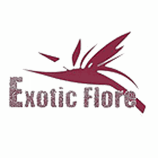 Fleuriste Exotic Flore 1