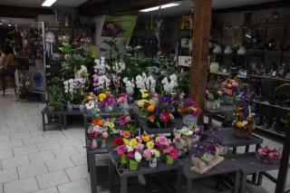 Fleuriste Jaurès Fleurs 0
