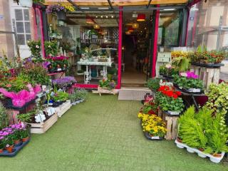 Fleuriste Rouge Pivoine Fleuriste Créateur 2