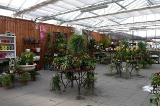 Fleuriste E.Leclerc Jardi 1