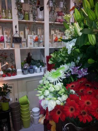 Fleuriste Jardins De Campagne 2