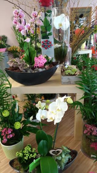 Fleuriste Au Palais Fleuri 0