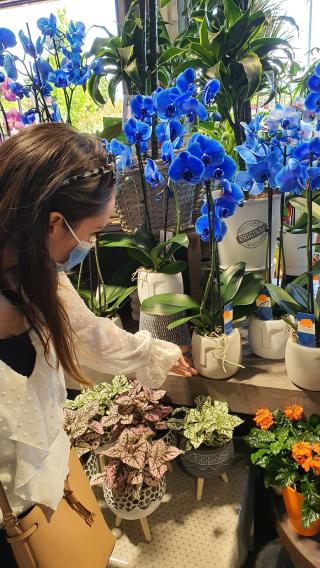 Fleuriste Faune Et Flore - Fleuriste et Animalerie 2