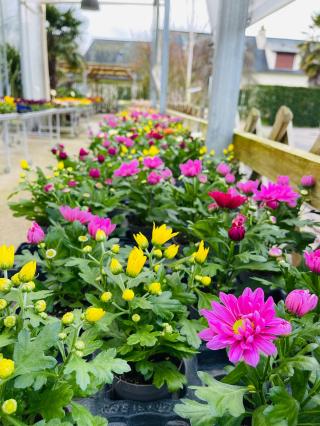 Fleuriste Les Pépinières BELLET 0