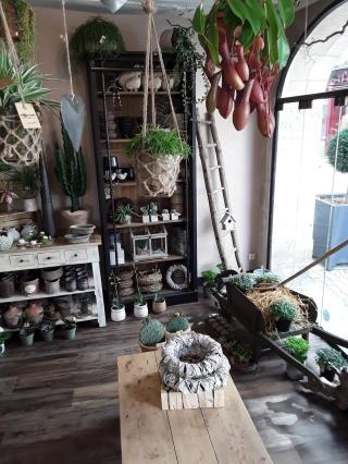 Fleuriste Mille & une Brindilles 1