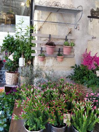 Fleuriste Mille & une Brindilles 0