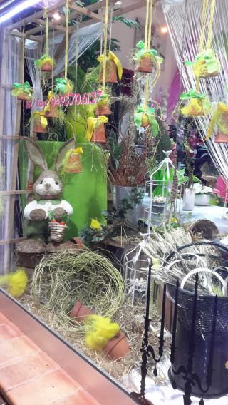 Fleuriste Rose Pompon 0