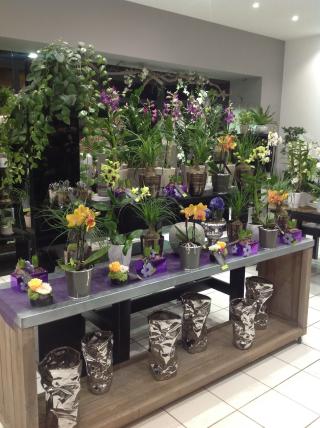 Fleuriste Inflorescence 2