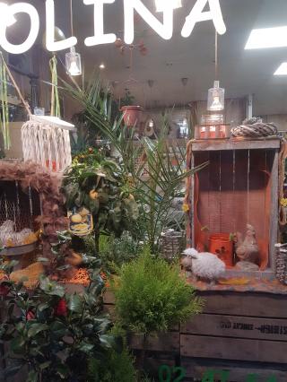 Fleuriste Nolina Fleurs Tours 0