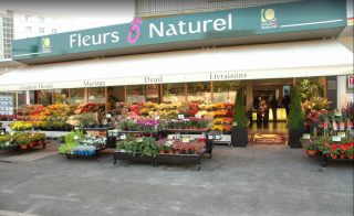 Fleuriste Fleurs Ô Naturel 0