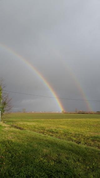 Fleuriste Cassany Cathy 0