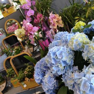 Fleuriste Comptoir Des Fleurs 0