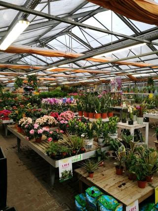 Fleuriste Côté Nature Craponne 1