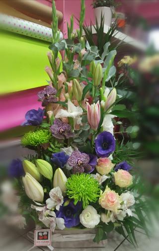 Fleuriste Fleuriste de la Barque / Marignane 0