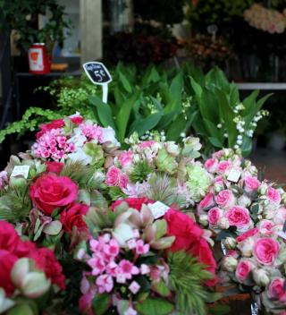 Fleuriste Collin Fleurs | Neuilly-sur-Seine 0