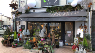 Fleuriste Dame Nature 0