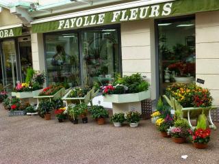 Fleuriste Fayolle Fleurs 0