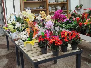 Fleuriste Houssaye Fleurs 0