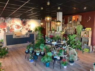 Fleuriste Le Cocon Végétal 1