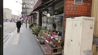 Fleuriste Florocean 0