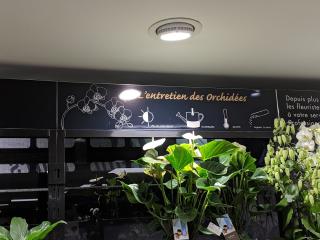 Fleuriste Monceau Fleurs 0