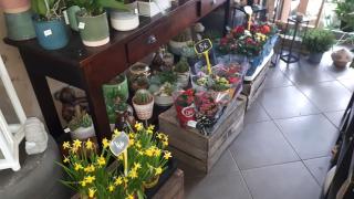 Fleuriste fleurs et deco de l'orge 0