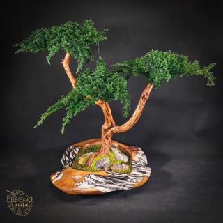 Fleuriste Elégance Végétale 0