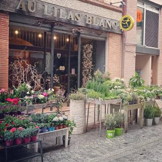 Fleuriste AU LILAS BLANC 0